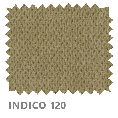 Indico 120